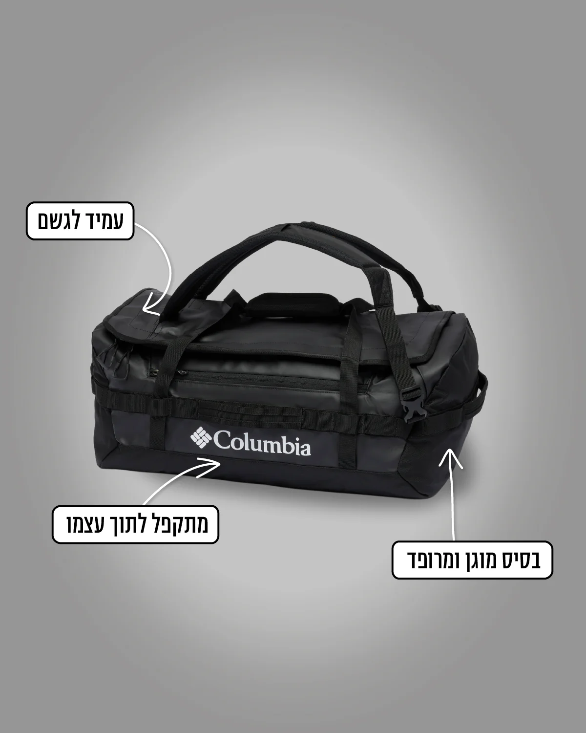 תמונה ממוזערת 2