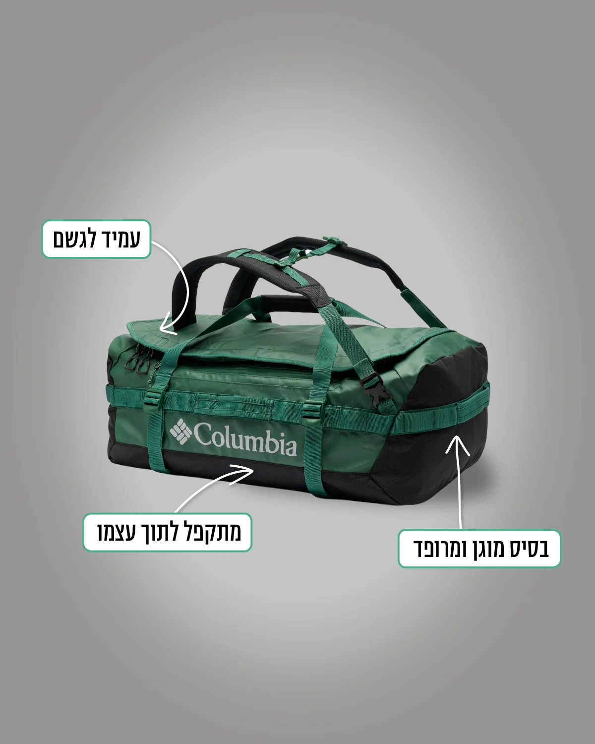 תמונה ממוזערת 2