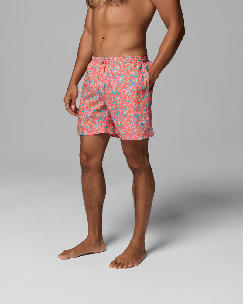 תמונה ממוזערת 2
